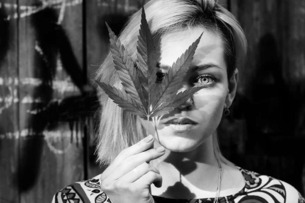 A match made in heaven a story when sugar met THC | BC Weed Edible Canada