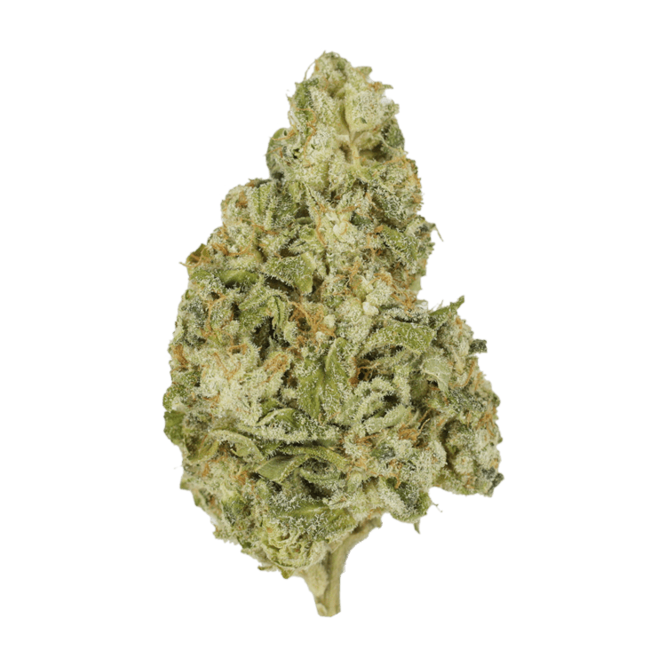 Zombie OG | BC Weed Edible Canada