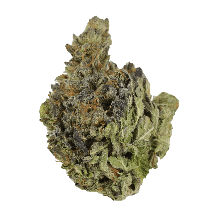 Chocolope | BC Weed Edible Canada