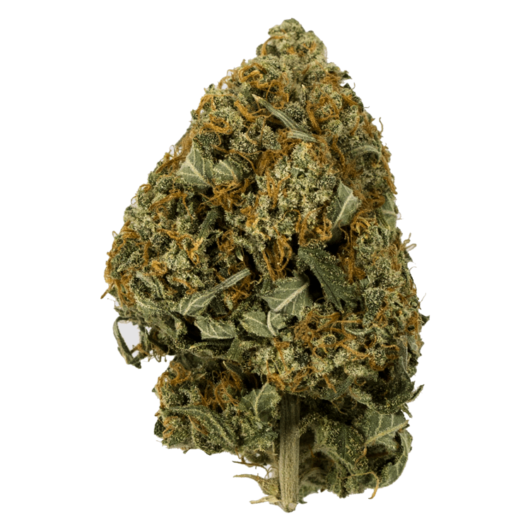 Snow White – 1 ounce | BC Weed Edible Canada