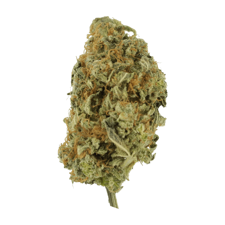 Lollypop – 1 ounce | BC Weed Edible Canada