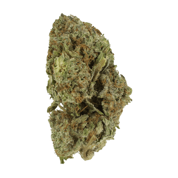 Gelato Sorbet – 1 ounce | BC Weed Edible Canada