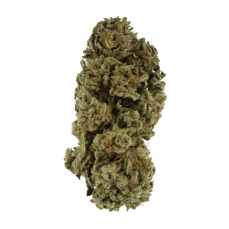 Black Kush – 1 ounce | BC Weed Edible Canada