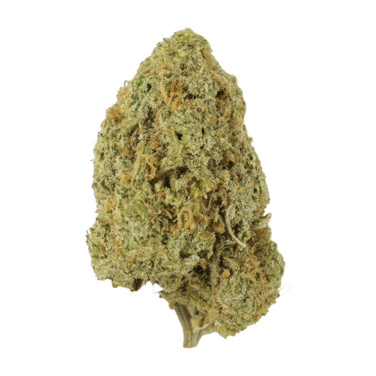 Sugar Pine | BC Weed Edible Canada