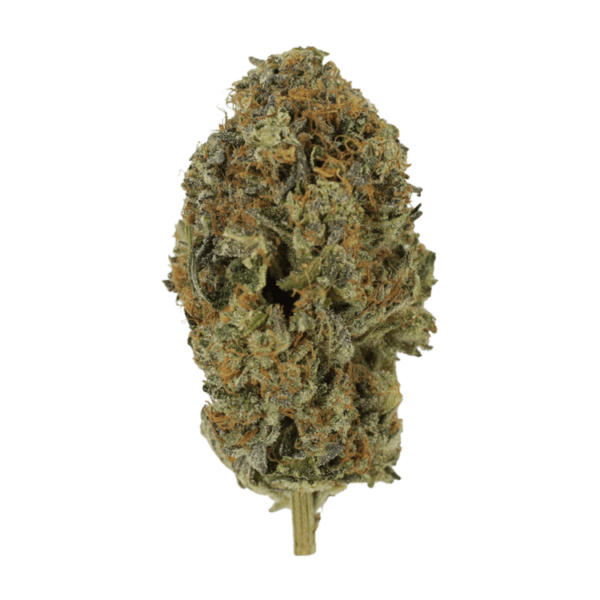 Acapulco Gold | BC Weed Edible Canada
