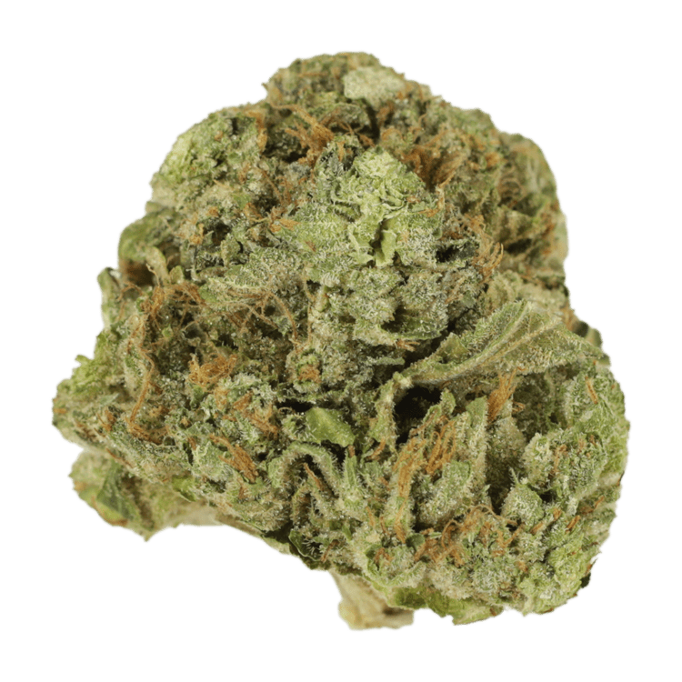 Mango Cream | BC Weed Edible Canada