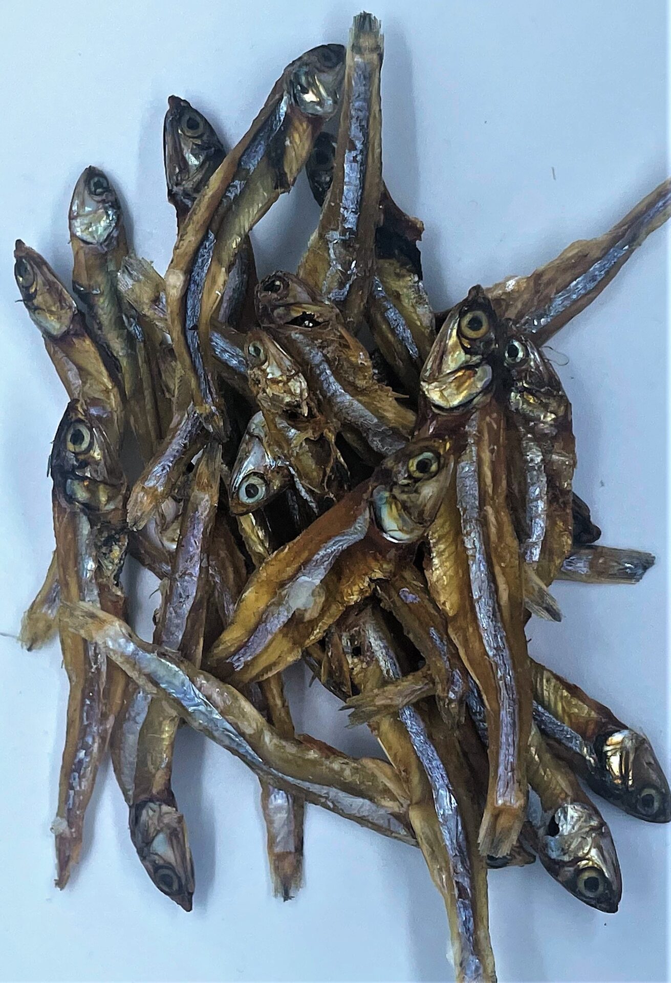 Biggie Bites – Sardines- 100mg CBD | BC Weed Edible Canada