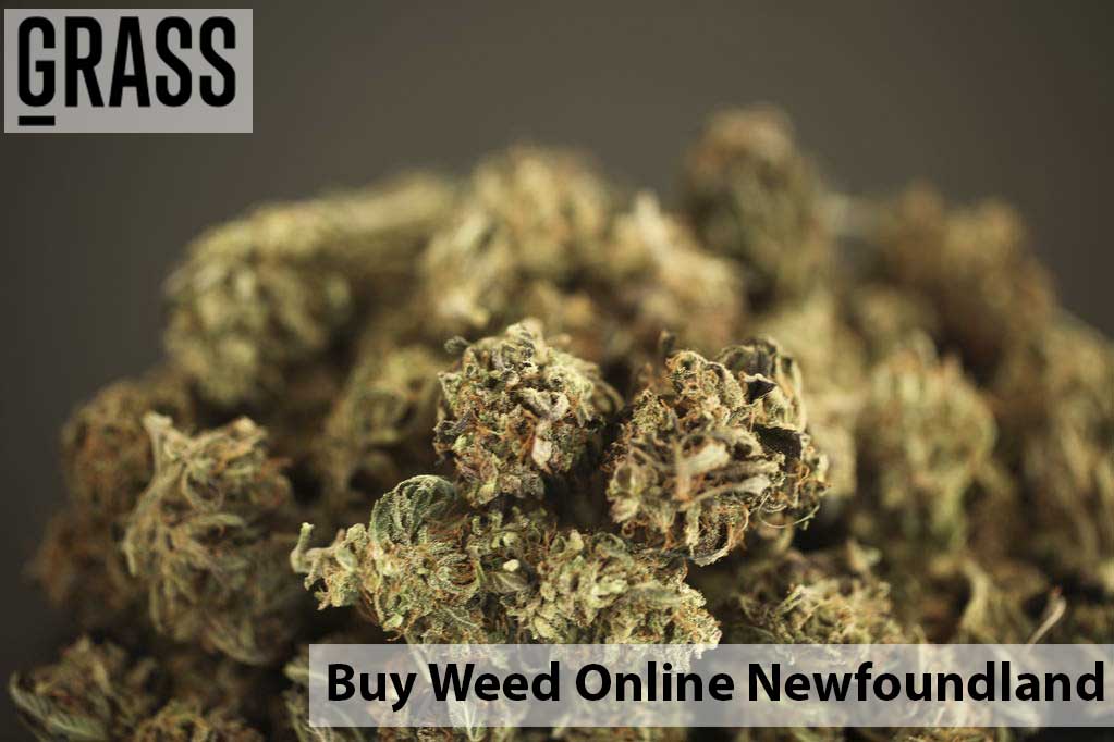 Buy edibles Online in Newfoundland Canada