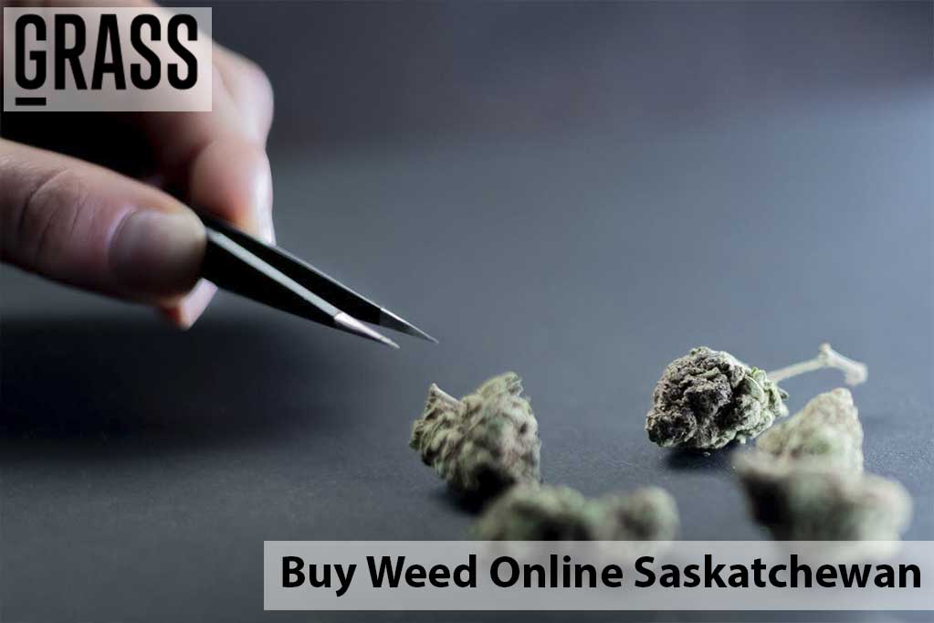 Buy edibles online Saskatchewan
