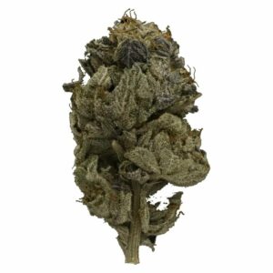 BC Weed Edible Canada - Pink Gas Strain | BC Weed Edible Canada